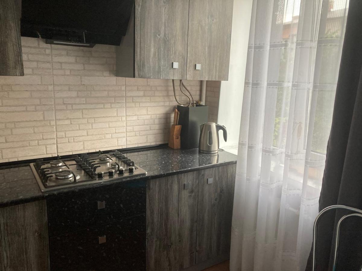 Apartment Artynova 29 Vinnitsya Dış mekan fotoğraf